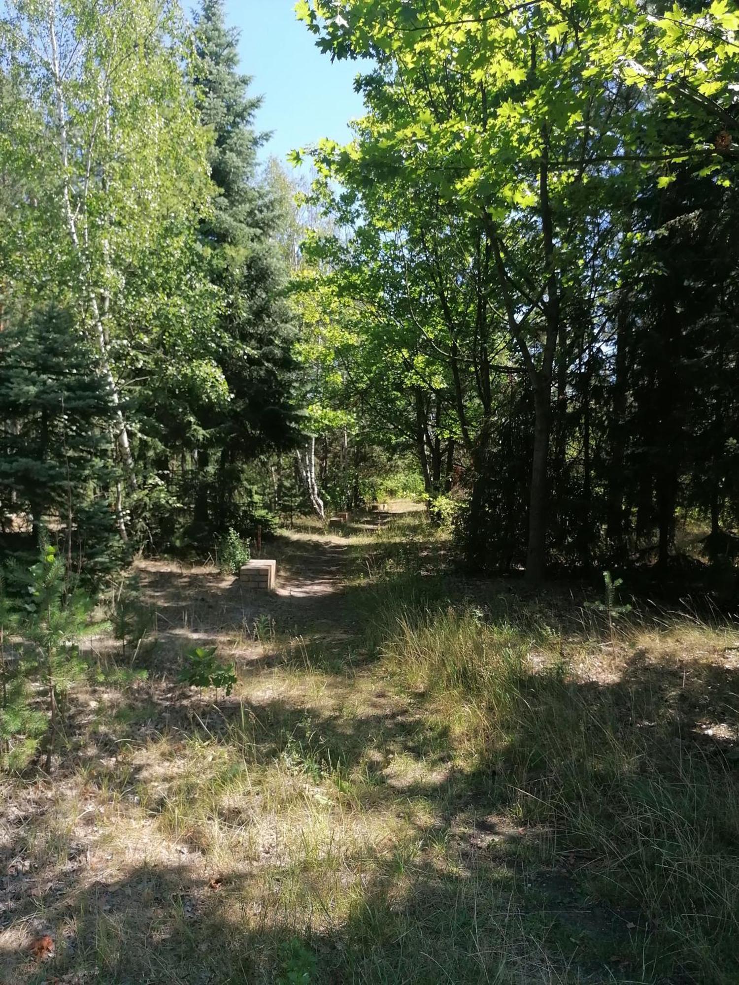 Ferienwohnung Gnubbel Am Wald 魏斯瓦塞尔 外观 照片